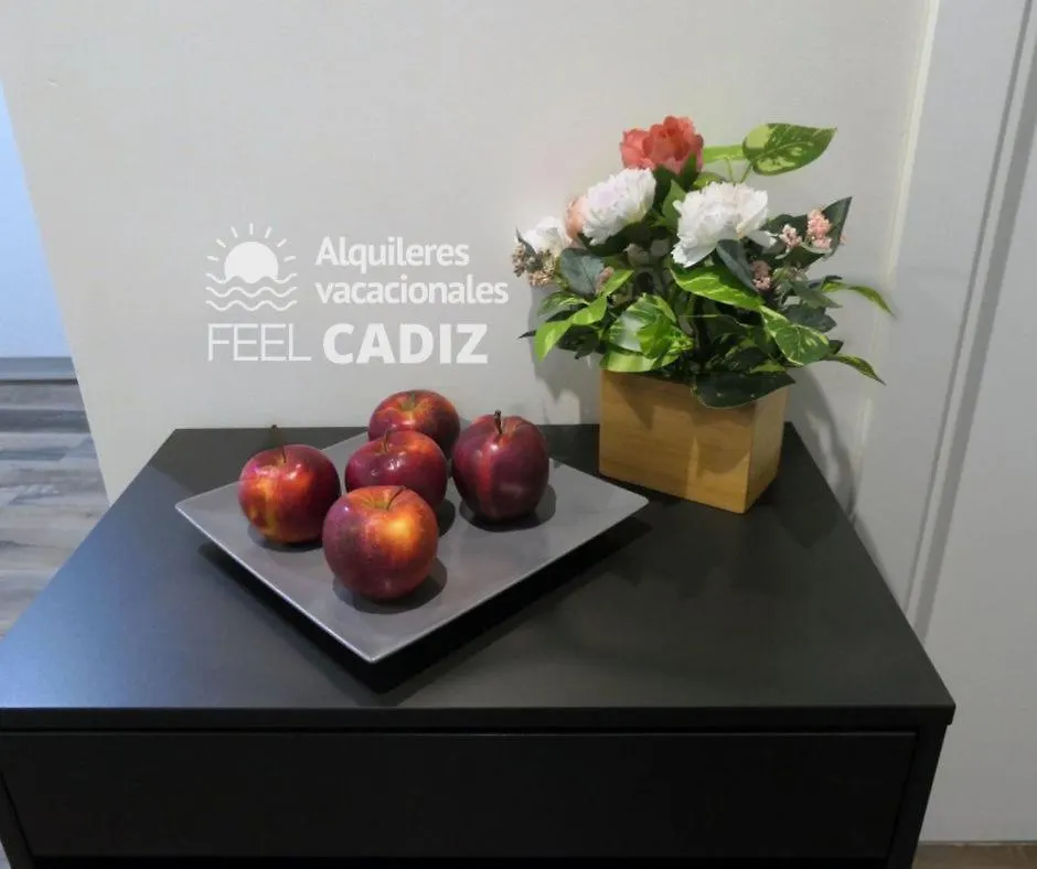 Apartamento Damia, Feel Cadiz Spain